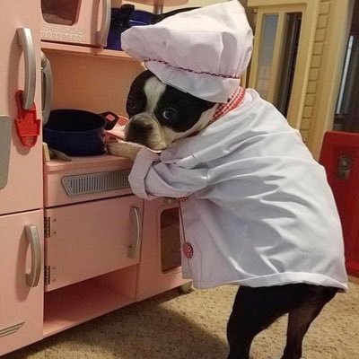 hiitslex's profile picture. 5' tall with a 6' attitude | she/her