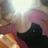 svaanhildur's profile image