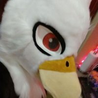 Cutter (@cuttereaglefa) 's Twitter Profile