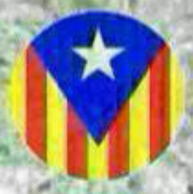 Tinamoliner's profile picture. Vull defensar els meus ideals abans, ara i sempre