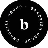 brackishgroup(@brackishgroup) 's Twitter Profile Photo