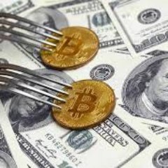 ForkFiat's profile picture.