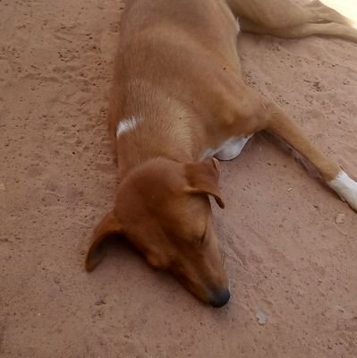 am from the Gambia west Africa the smiling coast of Africa and am very interested in any kind of friends I meet with always lovely and humble straight forwarded