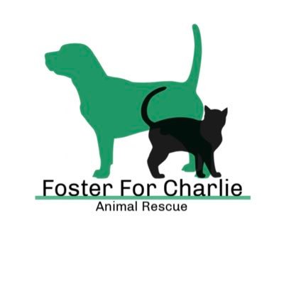 Foster based animal rescue 501c3 Non-Profit dedicated to re-homing sheltered animals