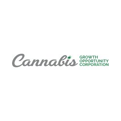 The true value of the cannabis industry will be seen through a long-term, actively managed strategy. Our team manages a diverse portfolio of investments.