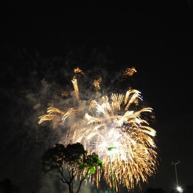 01601S's profile picture. 適当に