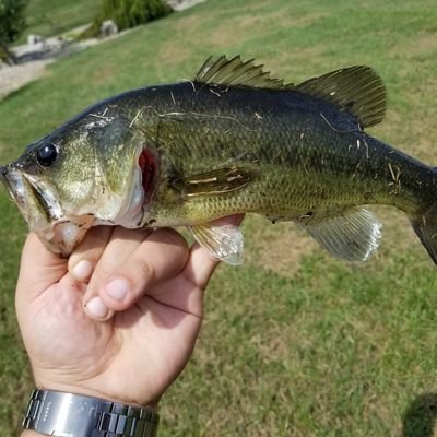 I'm a laid back guy that has 3 loves in my life. God is first always. Then is followed by my wife and fishing. depends on the day as to who's second or third.