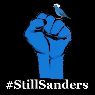#BERNIE2020 Retired local gov. HR Mgr/Consultant. Independent Progressive, 60+ Boomer. Give peace a chance! A picture is worth 1,000 words. #stillSanders