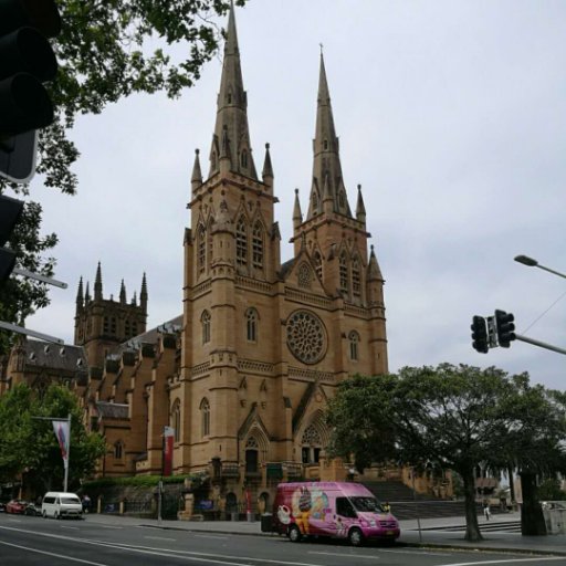 stargaz05365736's profile picture. 