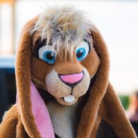 Bunny Imposter (@fuzzyotterz) 's Twitter Profile