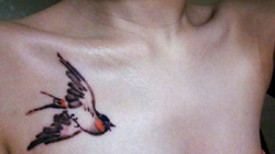 honeybarney's profile picture. 사진쟁이
더이상 자세한 설명은 생략하겠다.