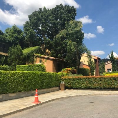 AungMaung6's profile picture. nothing