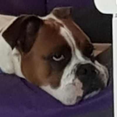 jackbrown2696's profile picture. 