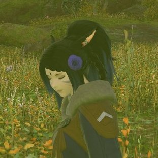 StormLotus's profile picture. Twin Keepers of the Ganajai Clan. Sisters by blood, Friends by choice. 
Una (White haired) and Gywn (Black Haired).