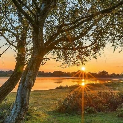 abowasna's profile picture. 