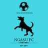 ngasufc's profile picture. IDFM Participant on 2017, 2018, 2019 and 2024 @IDFMLeague 
 #mantapsu