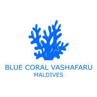 Blue Coral Maldives(@bluecoralmv) 's Twitter Profile Photo