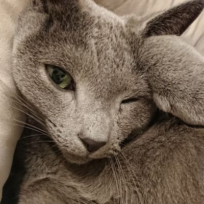 mika_a1011's profile picture. 