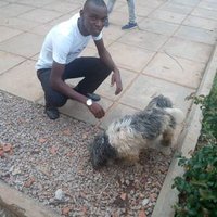 NIWAGABA STUART (@niwagabastuart2) 's Twitter Profile