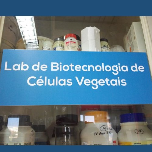 Pedro Fevereiro' s  Lab - Our aim is to develop molecular strategies to support plant selection and breeding programs in economical relevant plants.