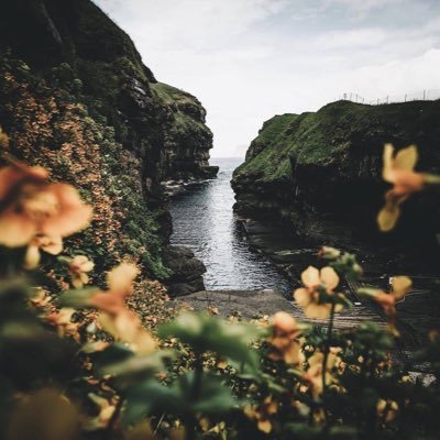 bsoor_'s profile picture. 