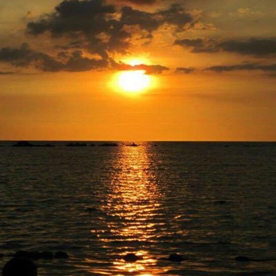 pawpads_sapporo's profile picture. 