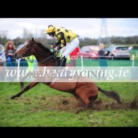 Thomas Reilly (@thomasreilly16) 's Twitter Profile