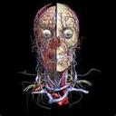 Bert Hellis - @hellis45 - Twitter