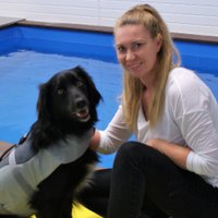 The Pet Rehab App(@fit4dogsuk1) 's Twitter Profile Photo
