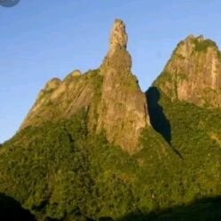 RjTeresopolis's profile picture. Cidade no estado do Rio•
Mande sua foto na dm•
Região serrana•