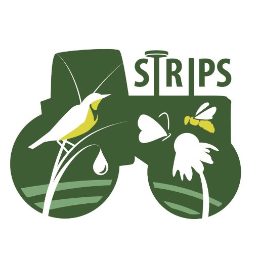 We strive to understand the value of prairie strips, communicate our results to diverse audiences & assist others with implementing prairie strips on farms.