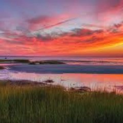 LValmoro's profile picture. 