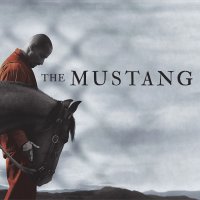The Mustang (@themustangfilm) 's Twitter Profile