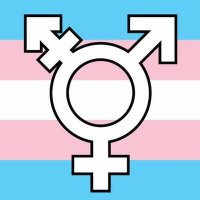 TransForum UK (they/them)(@TransForumUK) 's Twitter Profile Photo