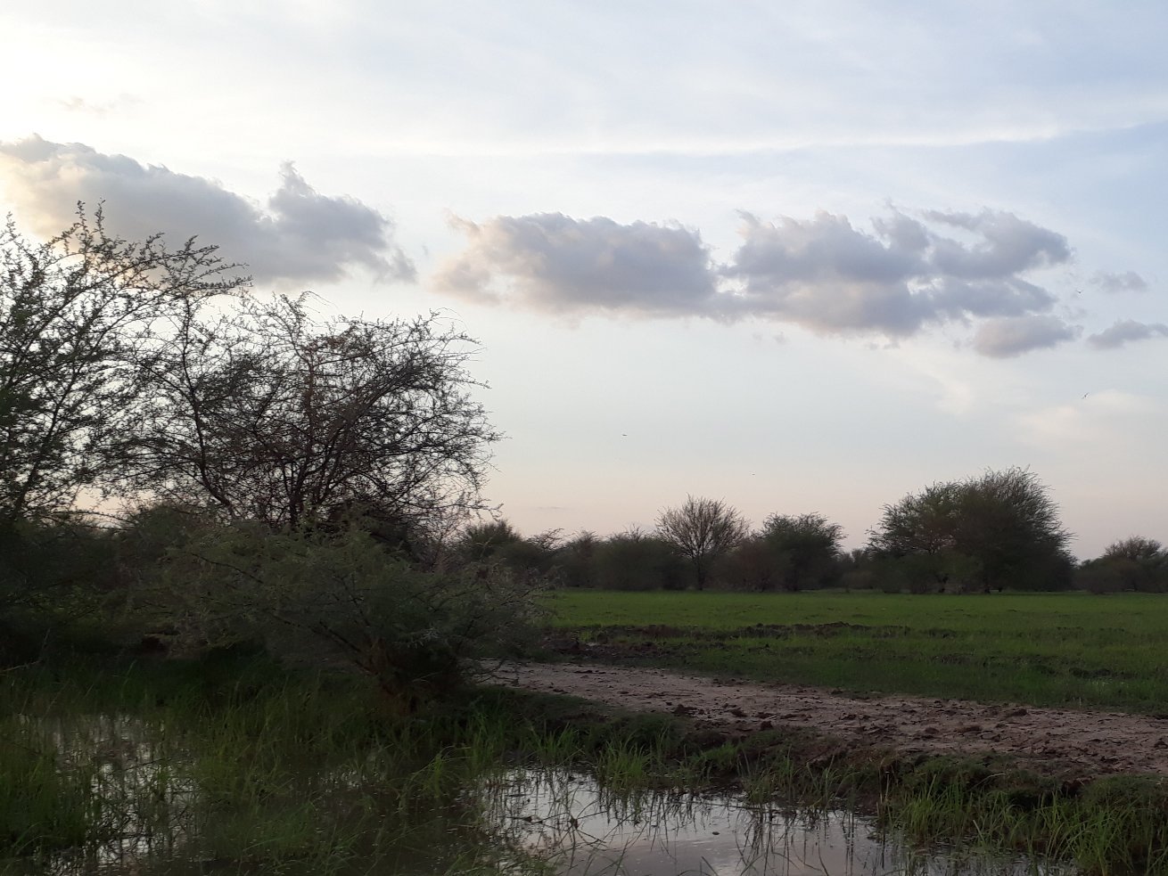 mohammedata174's profile picture. 