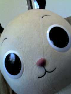 tomokobay's profile picture. 東京出身＆在住。見る専用アカウント。