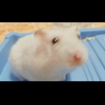 color7521's profile picture. 