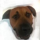 John Ebanks - @jagator777 - Twitter