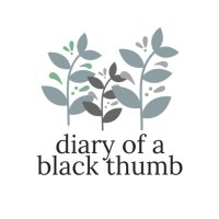 Diary of a Black Thumb(@diaryblackthumb) 's Twitter Profile Photo