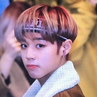 putrichimchim95's profile picture. 