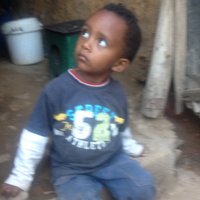 Tekle (@shefagi) 's Twitter Profile