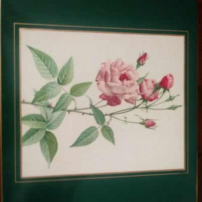 KirreOmkeer's profile picture. Woordvondsten en meer