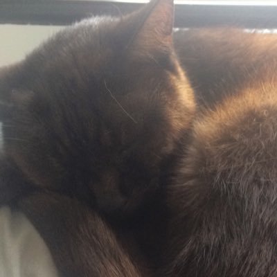 BuffBenno's profile picture. Bruh