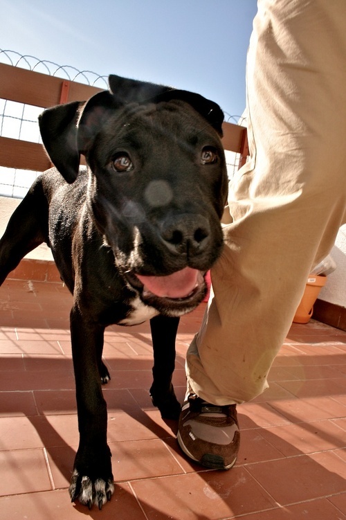 m4cnix's profile picture. Jack of all trades |Master of none Music|Technology|Design|