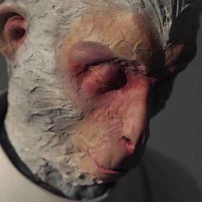 Lee118518's profile picture. 热爱生活