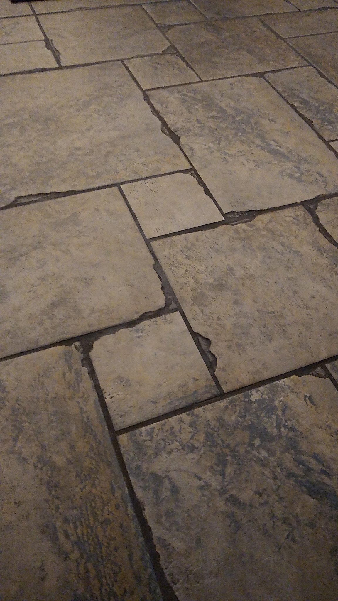 ApsolEvotz's profile picture. 