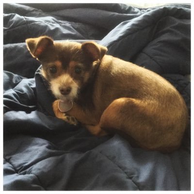 txfireant's profile picture. This account is private for family and friends and retooled as a FB replacement.