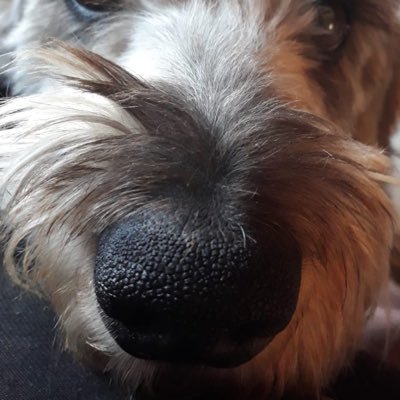 Teckeloo's profile picture. 