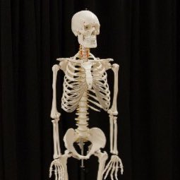 nananapotatoi's profile picture. if u look carefully, there is a love in my hip