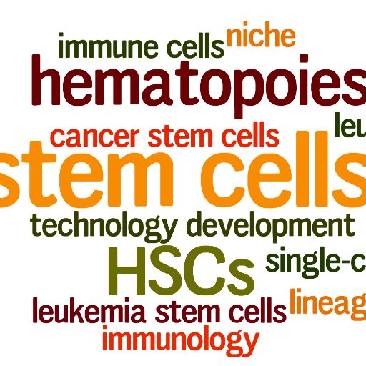 Haas Lab Profile